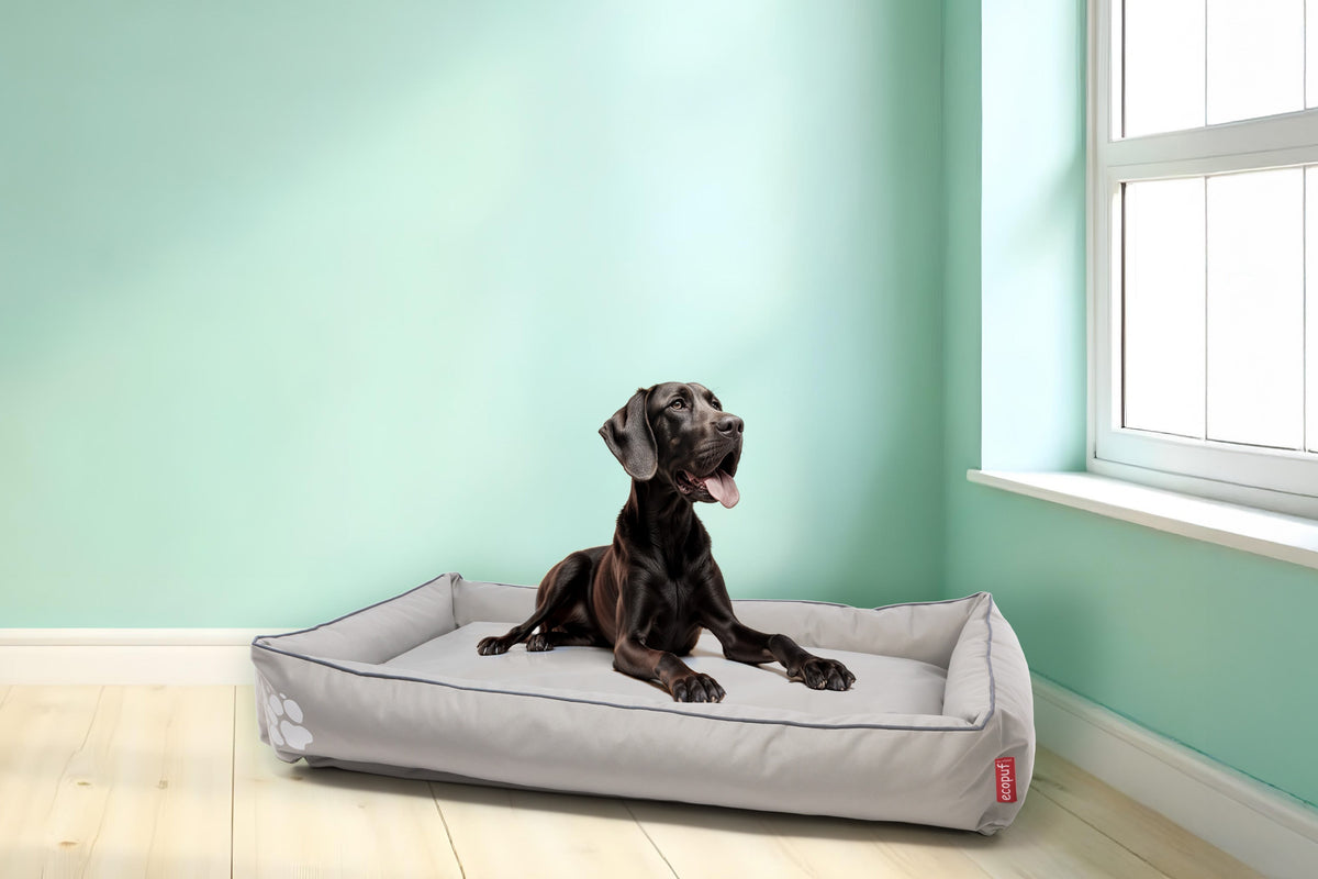 Pufa dla psa Snoopy XXL Poliester
